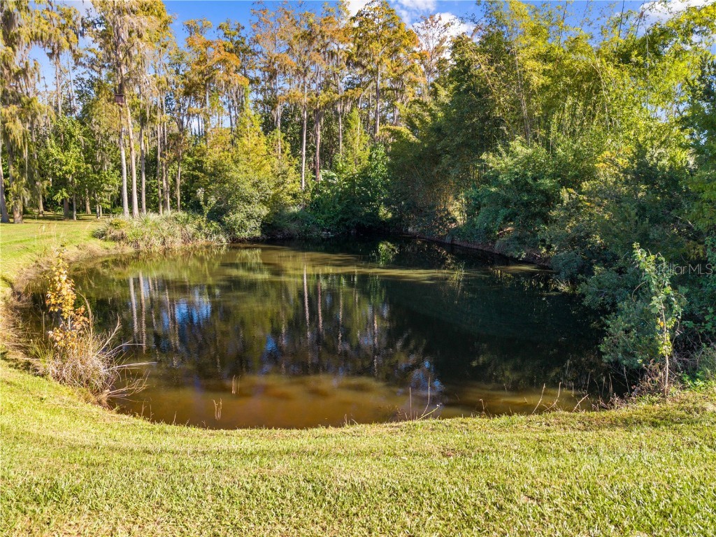 4055 Edsel Avenue Saint Cloud FL 34772 O6360829 image86