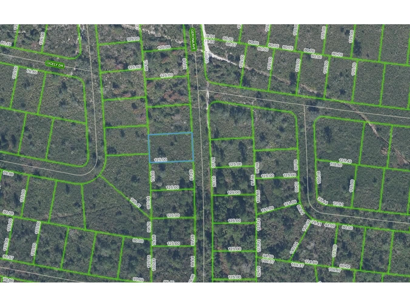 4055 Gerona Avenue Sebring FL 33872 P4938239 image1