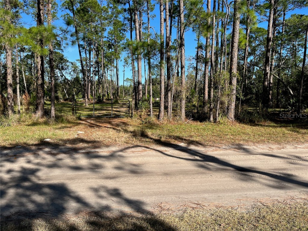 4055 Swamp Deer Road New Smyrna Beach FL 32168 V4934198 image1