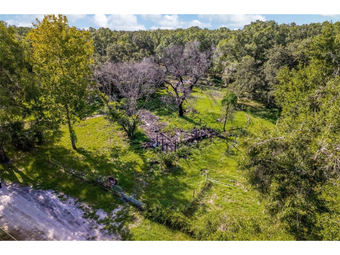 40550 Sutorus Road Zephyrhills FL 33540 T3466967 image1