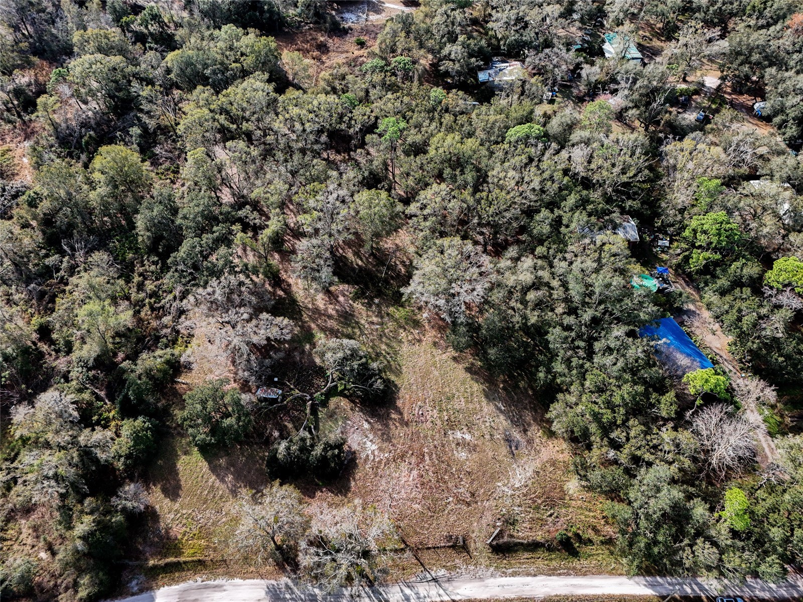 40550 Sutorus Road Zephyrhills FL 33540 L4958517 image3