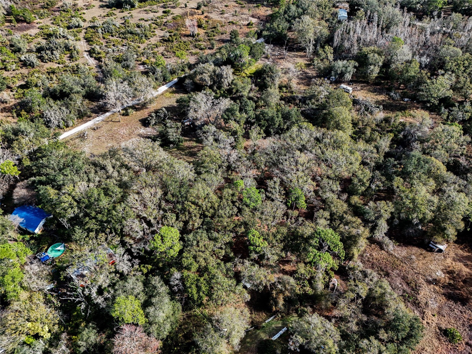 40550 Sutorus Road Zephyrhills FL 33540 L4958517 image6