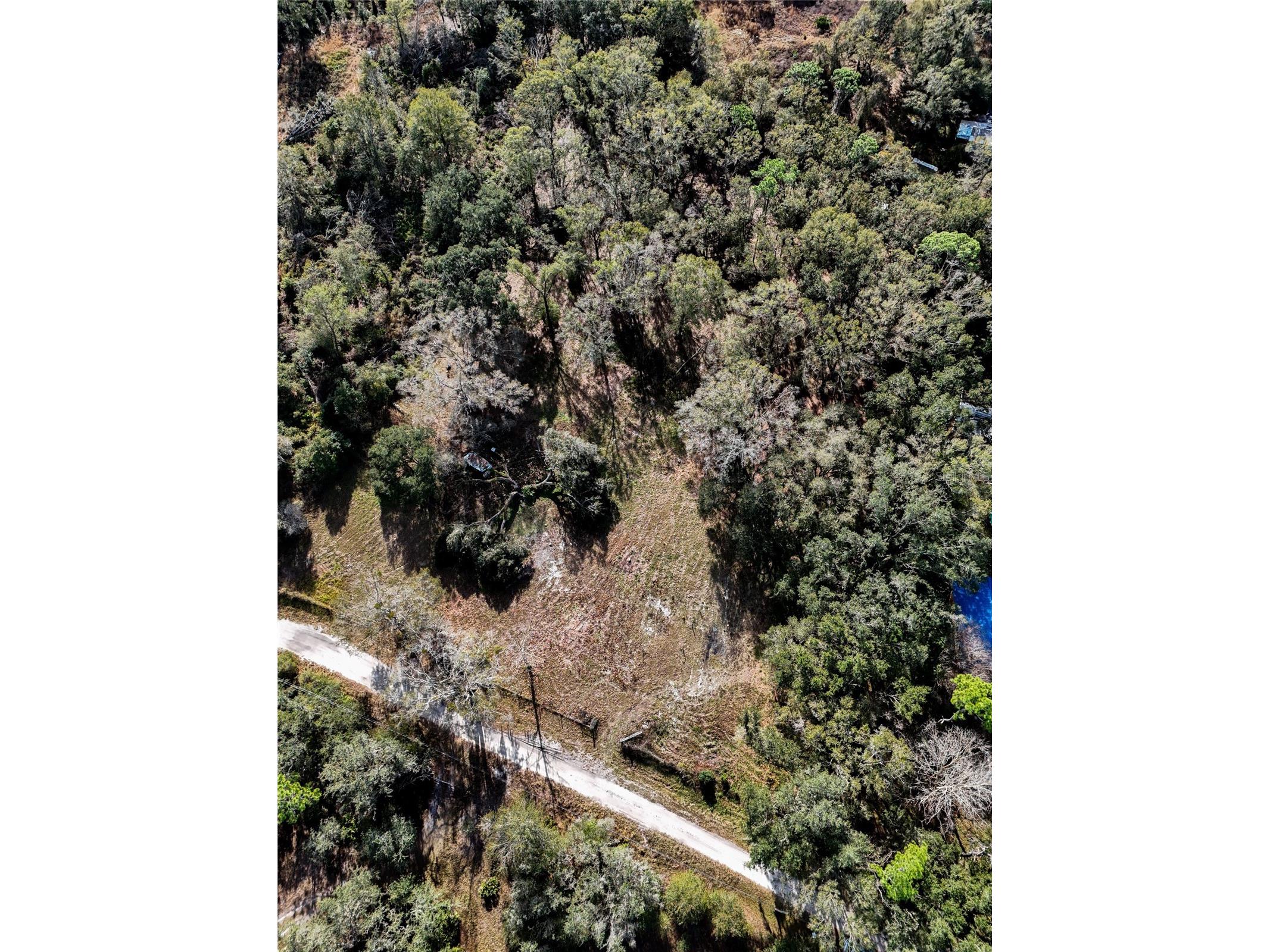 40550 Sutorus Road Zephyrhills FL 33540 L4958517 image7