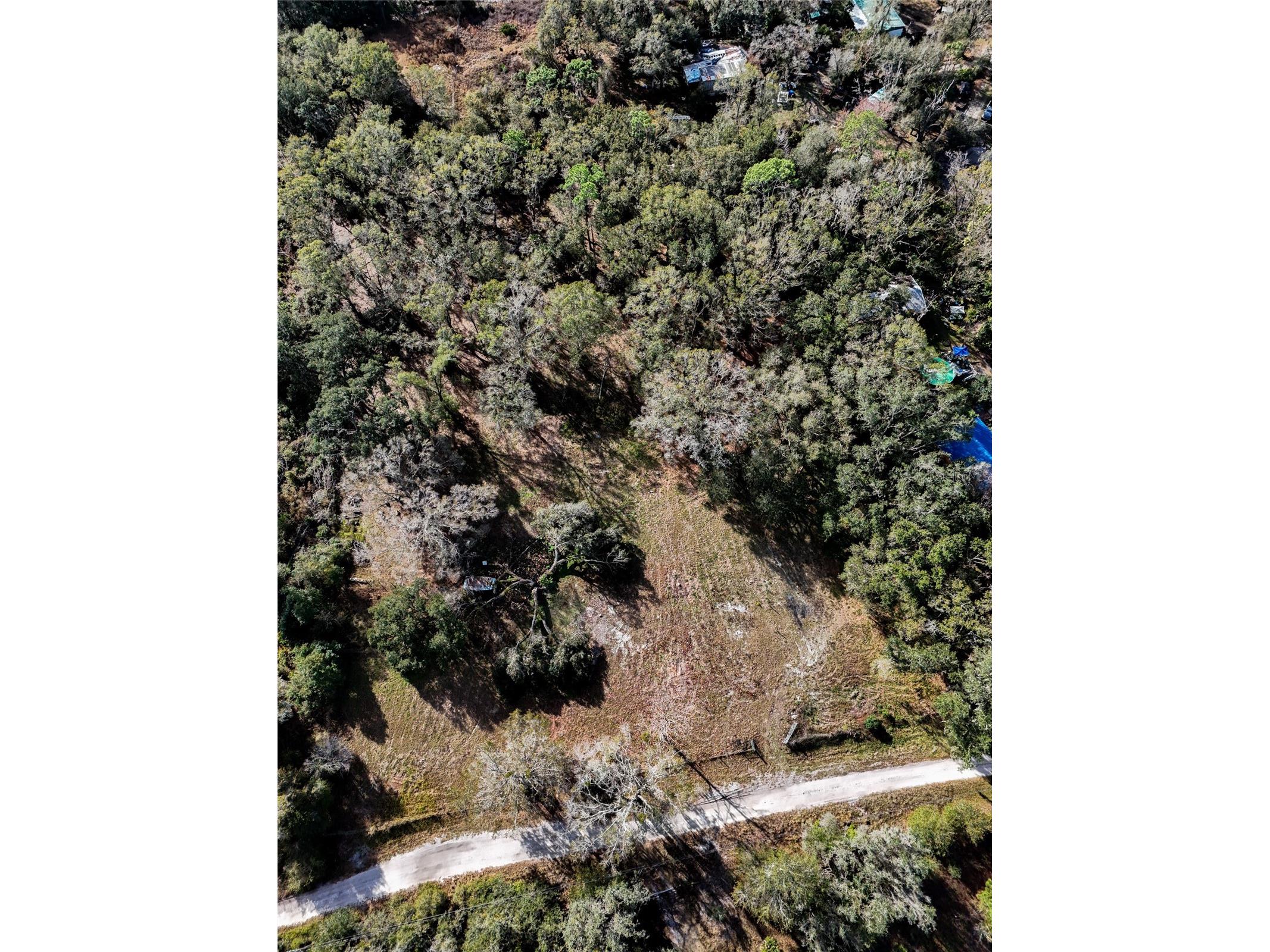 40550 Sutorus Road Zephyrhills FL 33540 L4958517 image8