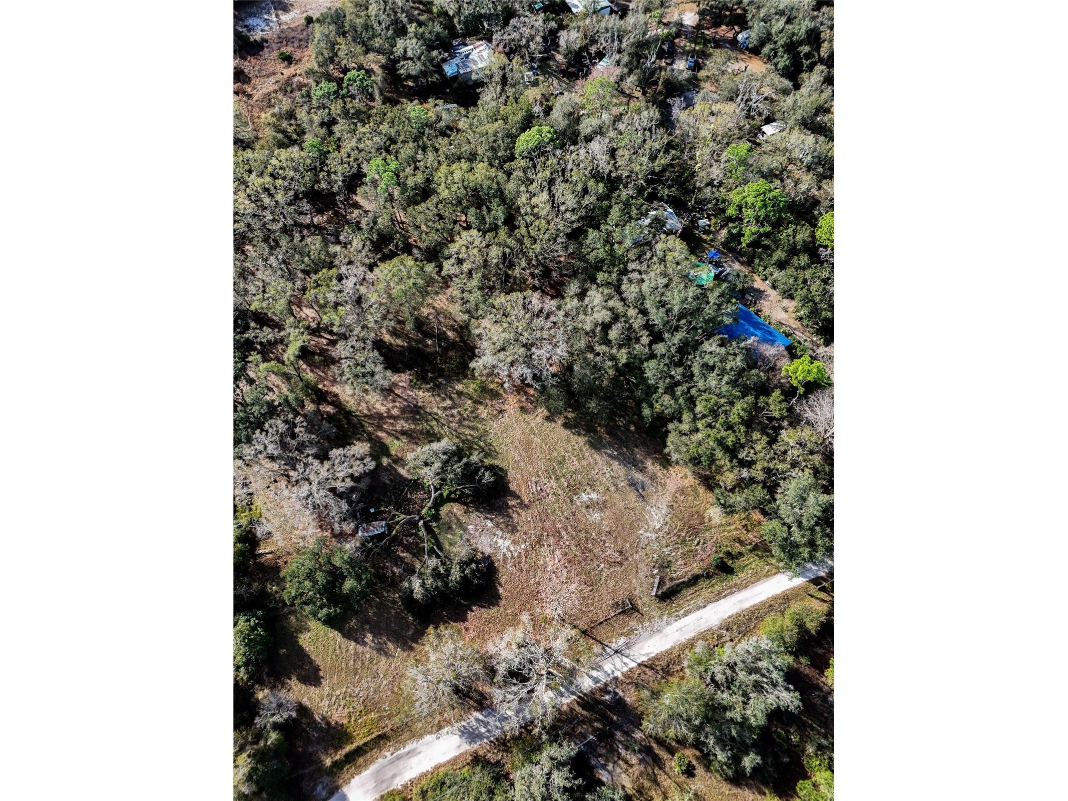 40550 Sutorus Road Zephyrhills FL 33540 L4958517 image9