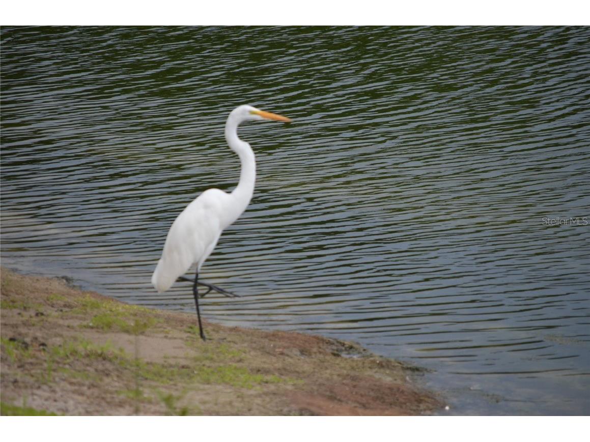 4056 Oakview Drive #E10 Port Charlotte FL 33980 C7509975 image23