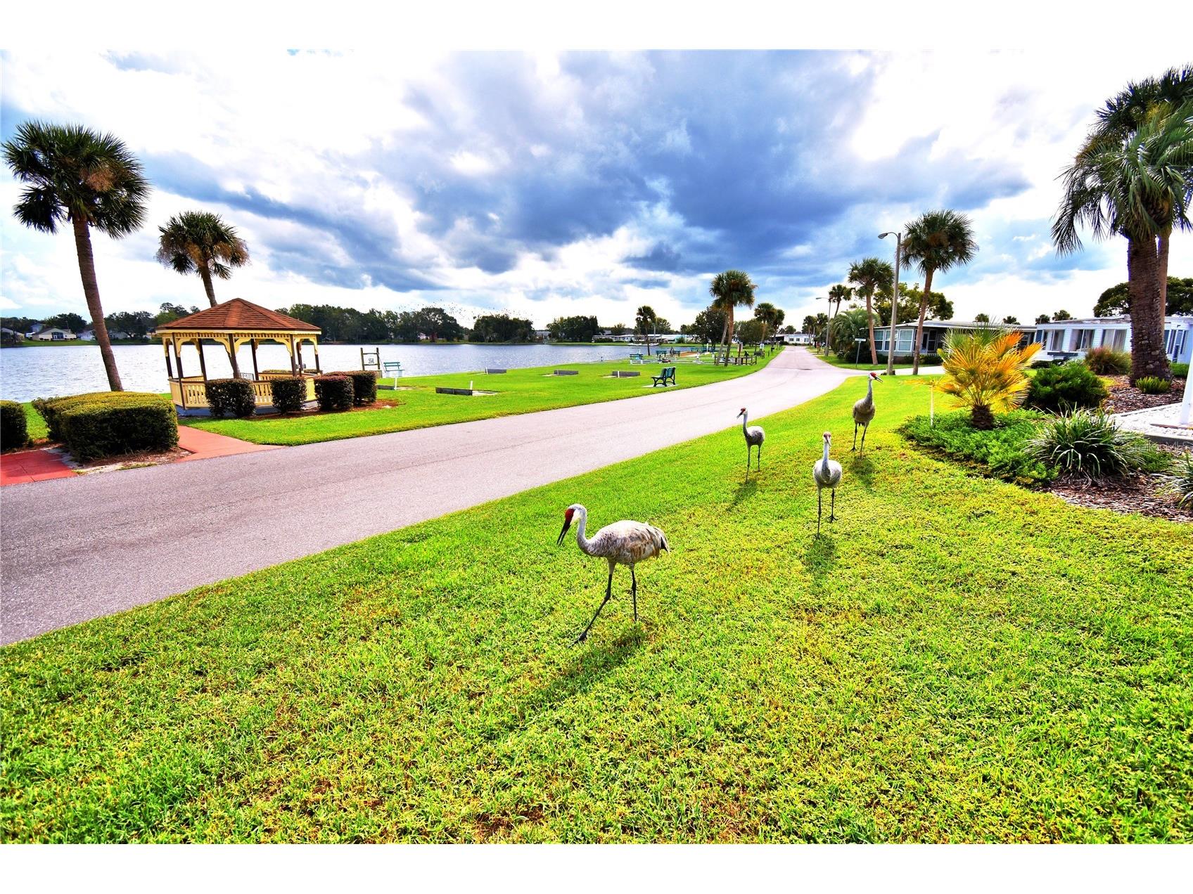 4056 Rolling Oaks Drive Winter Haven FL 33880 - Dinner Lake P4937783 image55