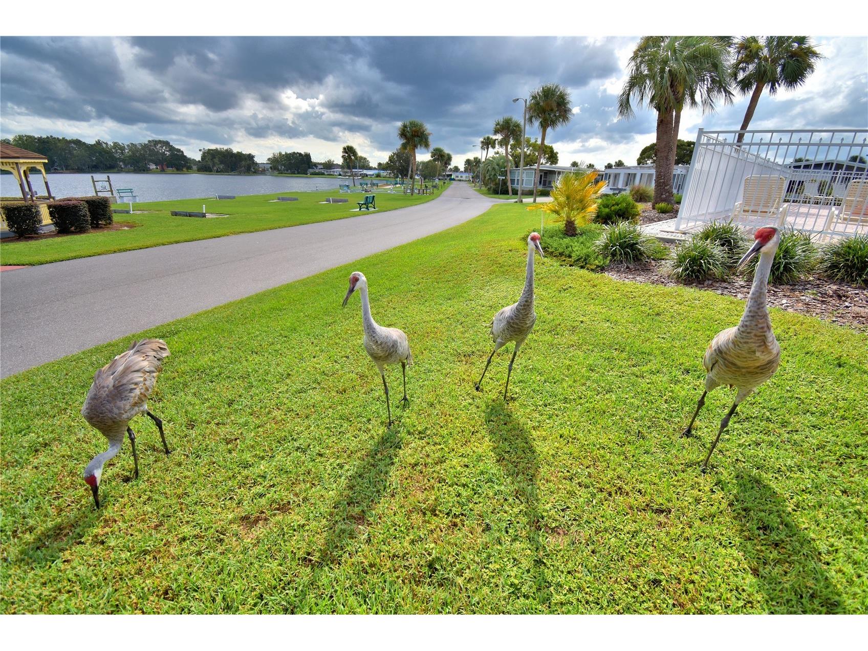 4056 Rolling Oaks Drive Winter Haven FL 33880 - Dinner Lake P4937783 image56