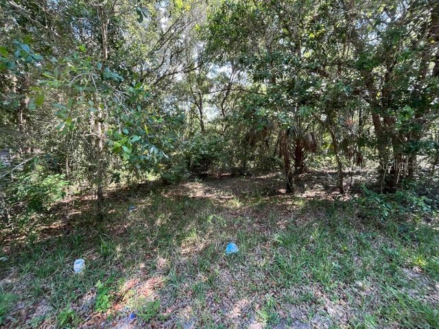 4058 E Ryan Street Inverness FL 34453 OK221870 image1