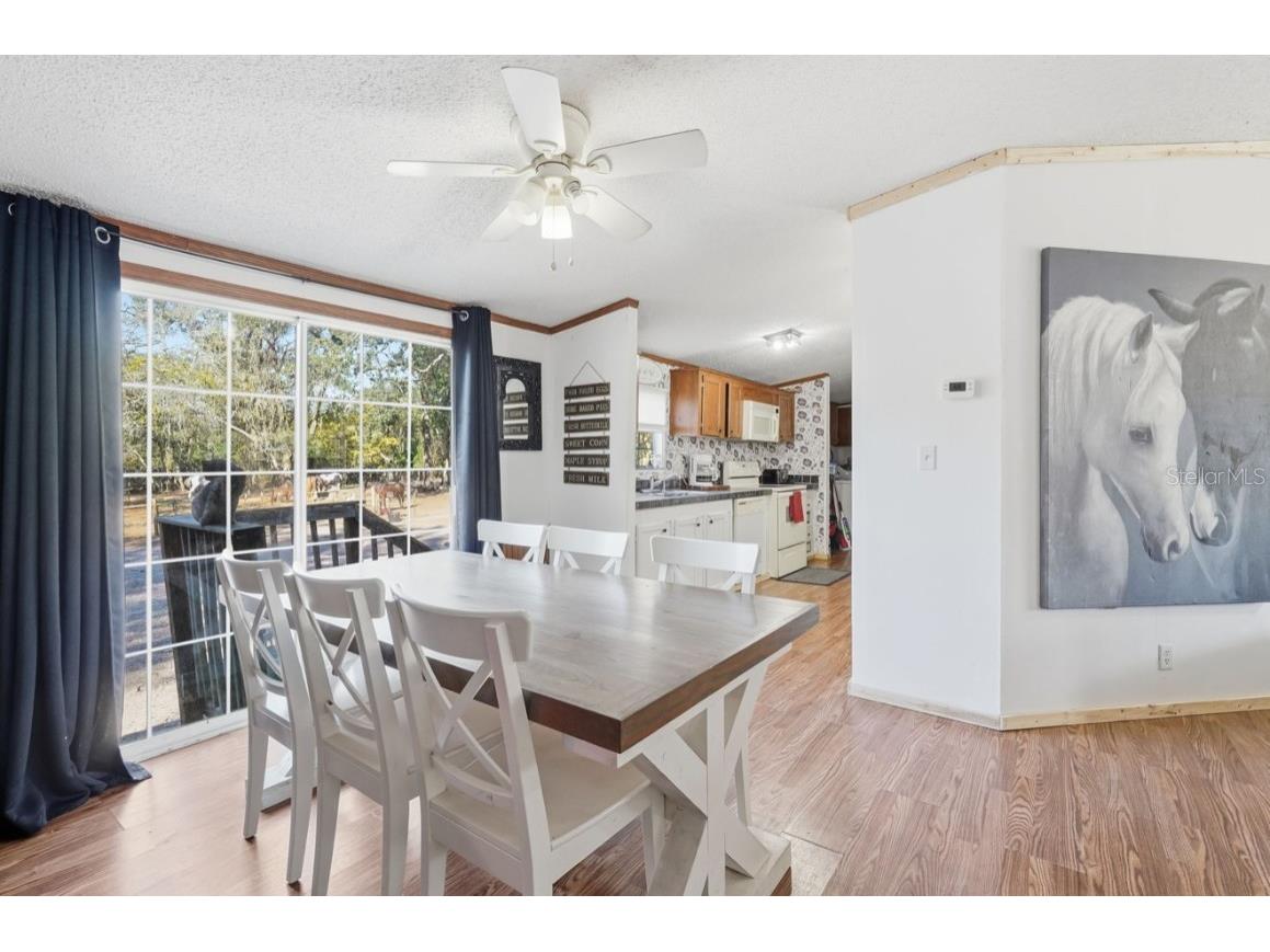 4059 Mckethan Road Dade City FL 33523 OM701872 image11