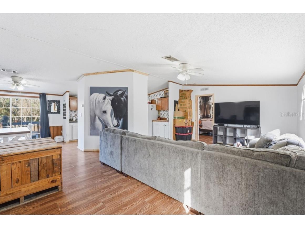 4059 Mckethan Road Dade City FL 33523 OM701872 image13