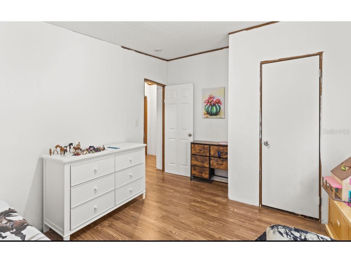 4059 Mckethan Road Dade City FL 33523 OM701872 image20