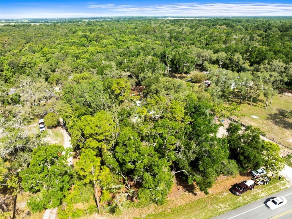 4059 Mckethan Road Dade City FL 33523 OM701872 image3
