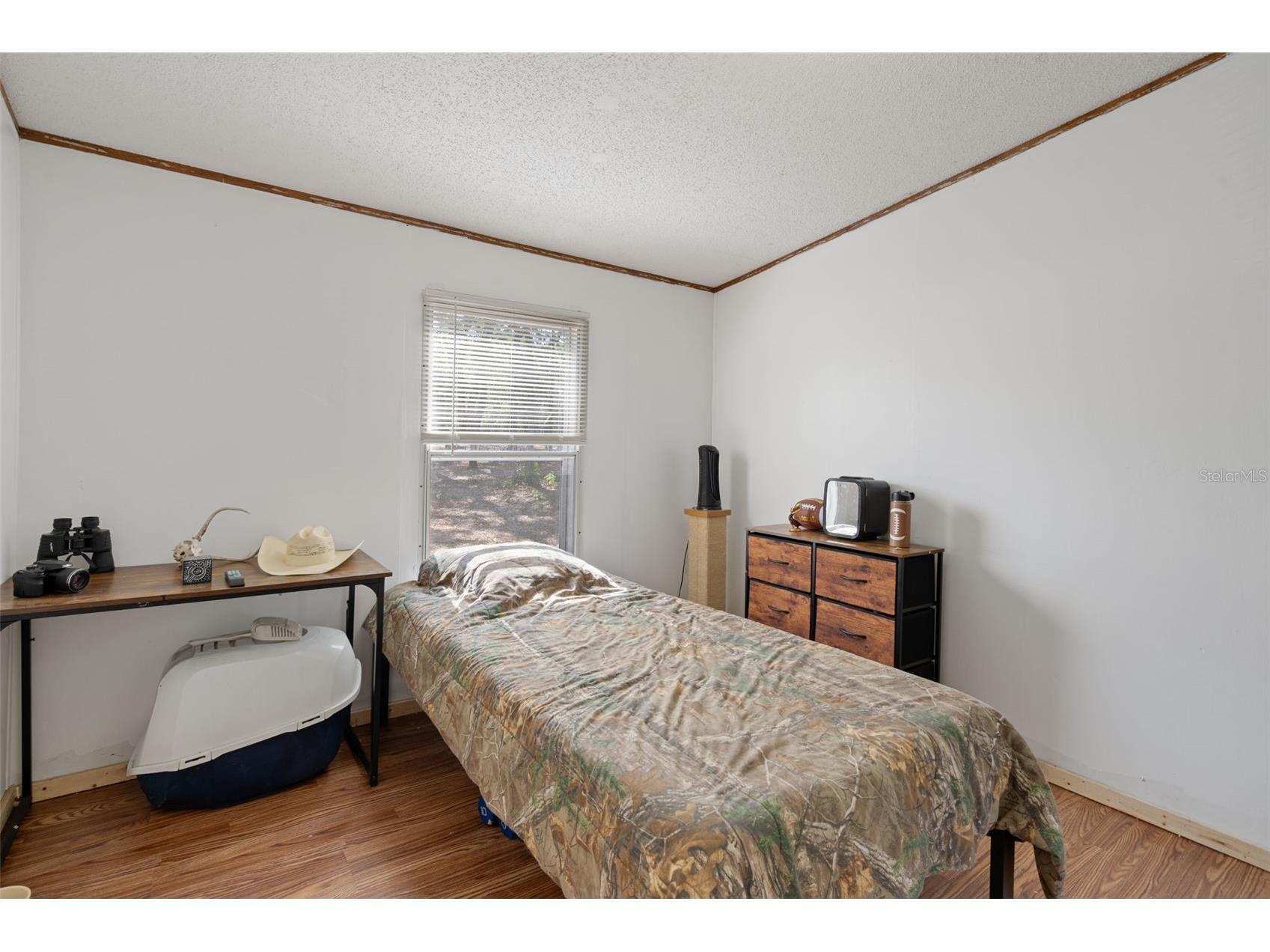 4059 Mckethan Road Dade City FL 33523 W7885361 image32