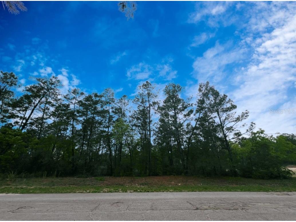 4059 W Vicksburg Drive Citrus Springs FL 34433 OM675321 image1