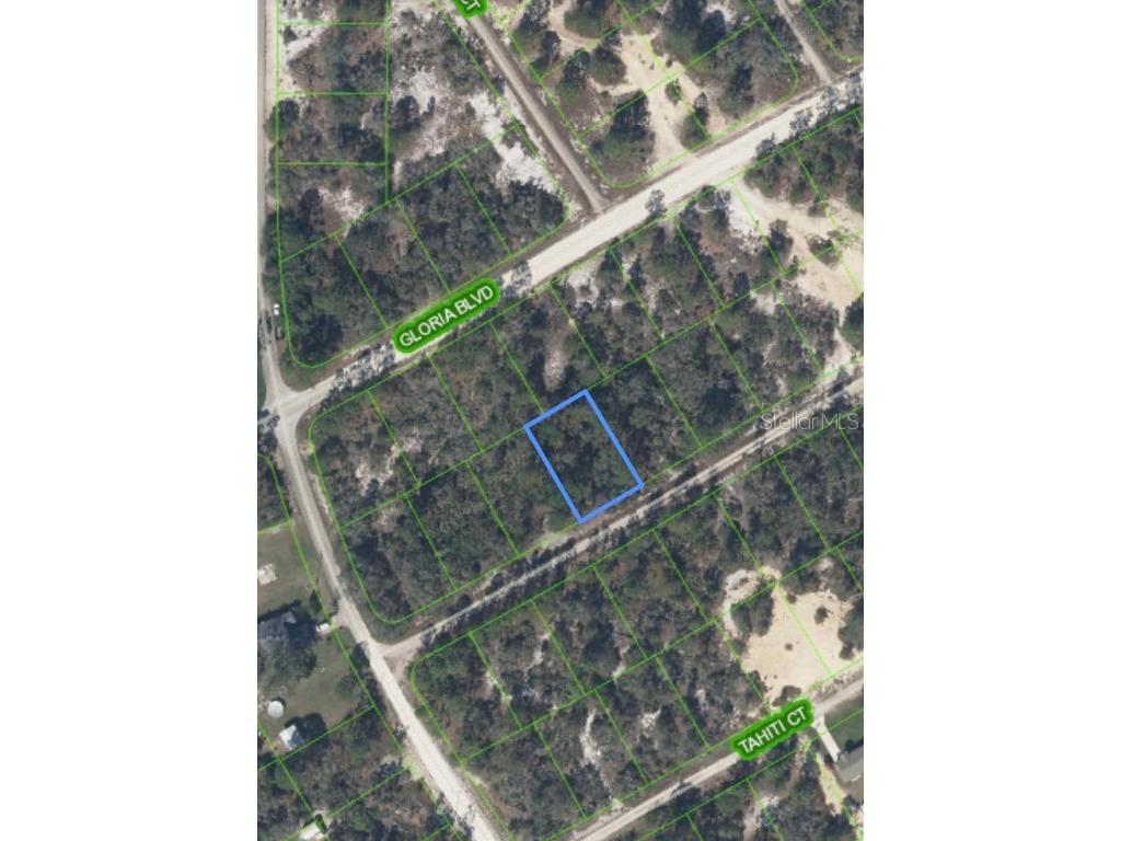 406 Allegheny Avenue Lake Placid FL 33852 P4934644 image1