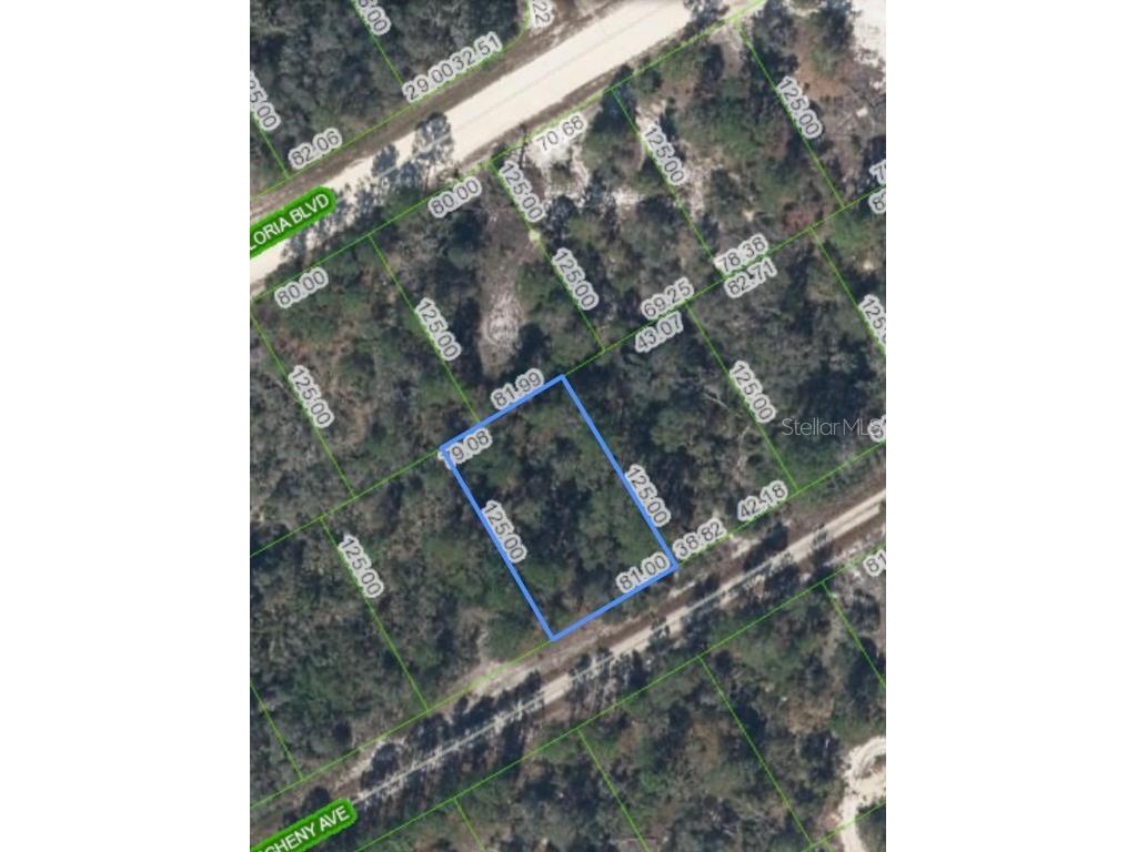 406 Allegheny Avenue Lake Placid FL 33852 P4934644 image2