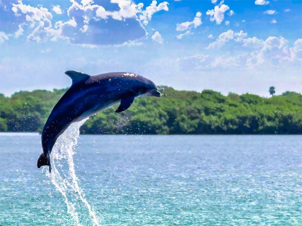 406 Bouchelle Drive #206 New Smyrna Beach FL 32169 NS1082344 image25