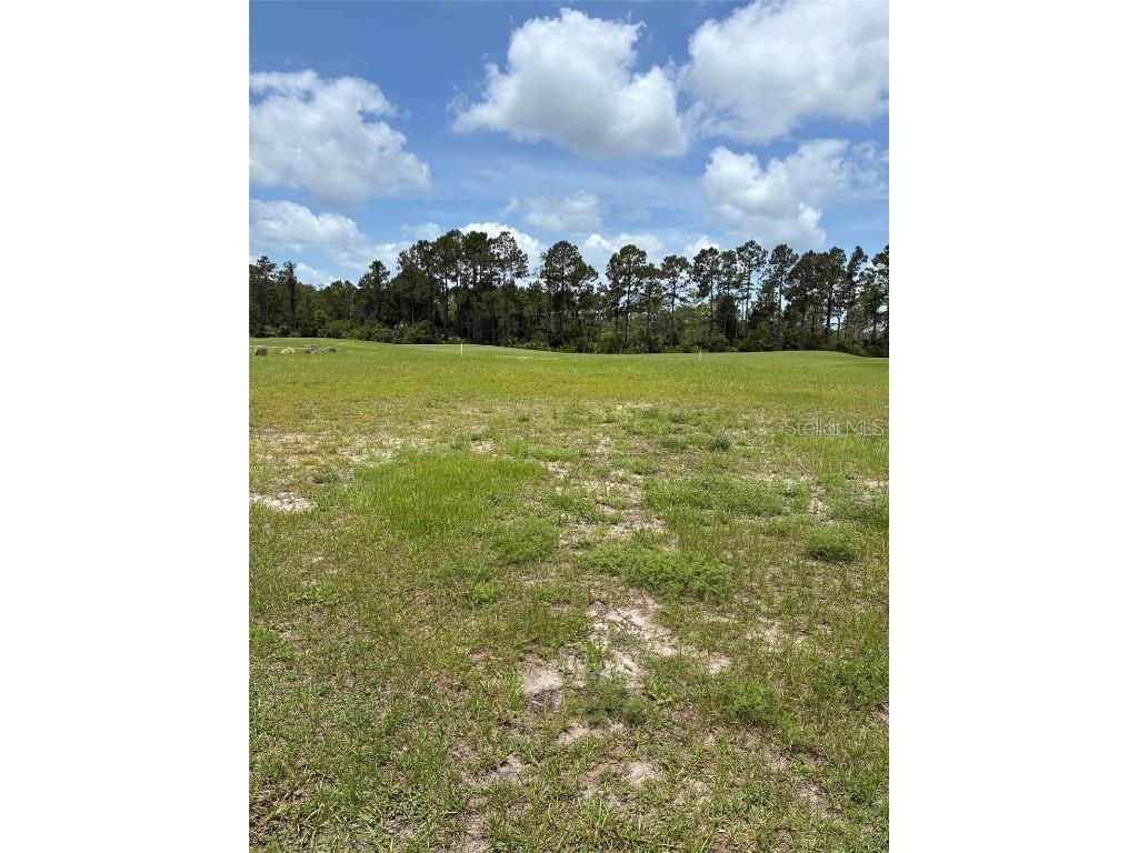 406 Bourganville Drive Palm Coast FL 32137 FC314668 image12