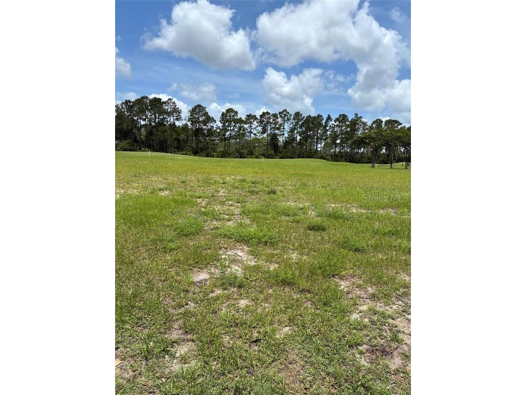 406 Bourganville Drive Palm Coast FL 32137 FC314668 image13