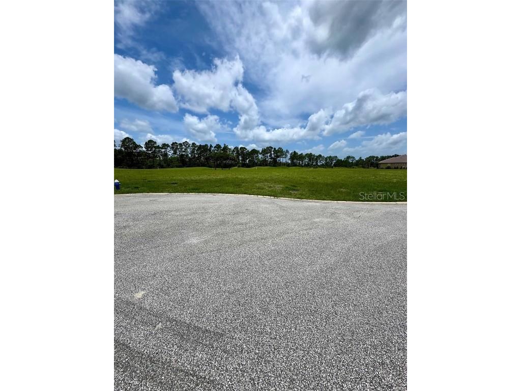 406 Bourganville Drive Palm Coast FL 32137 FC314668 image14