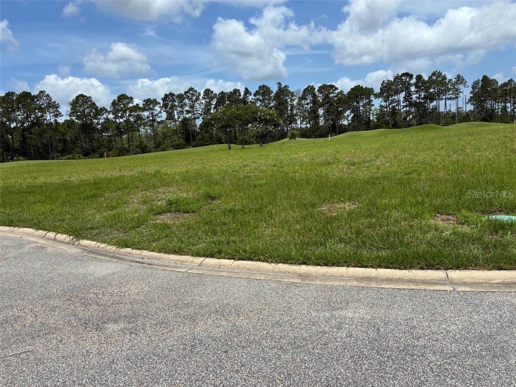 406 Bourganville Drive Palm Coast FL 32137 FC314668 image3