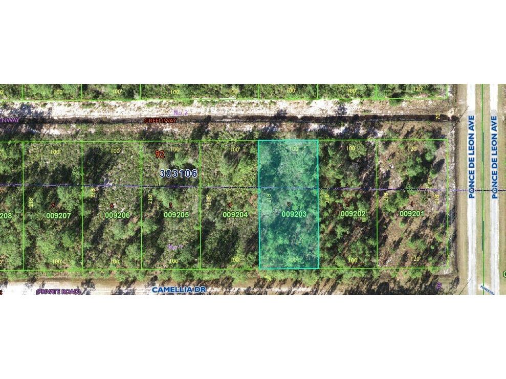 406 Camellia Drive Indian Lake Estates FL 33855 L4949237 image1