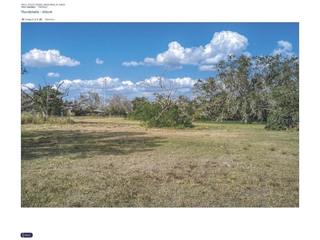 406 E Citico Street Avon Park FL 33825 TB8301595 image1