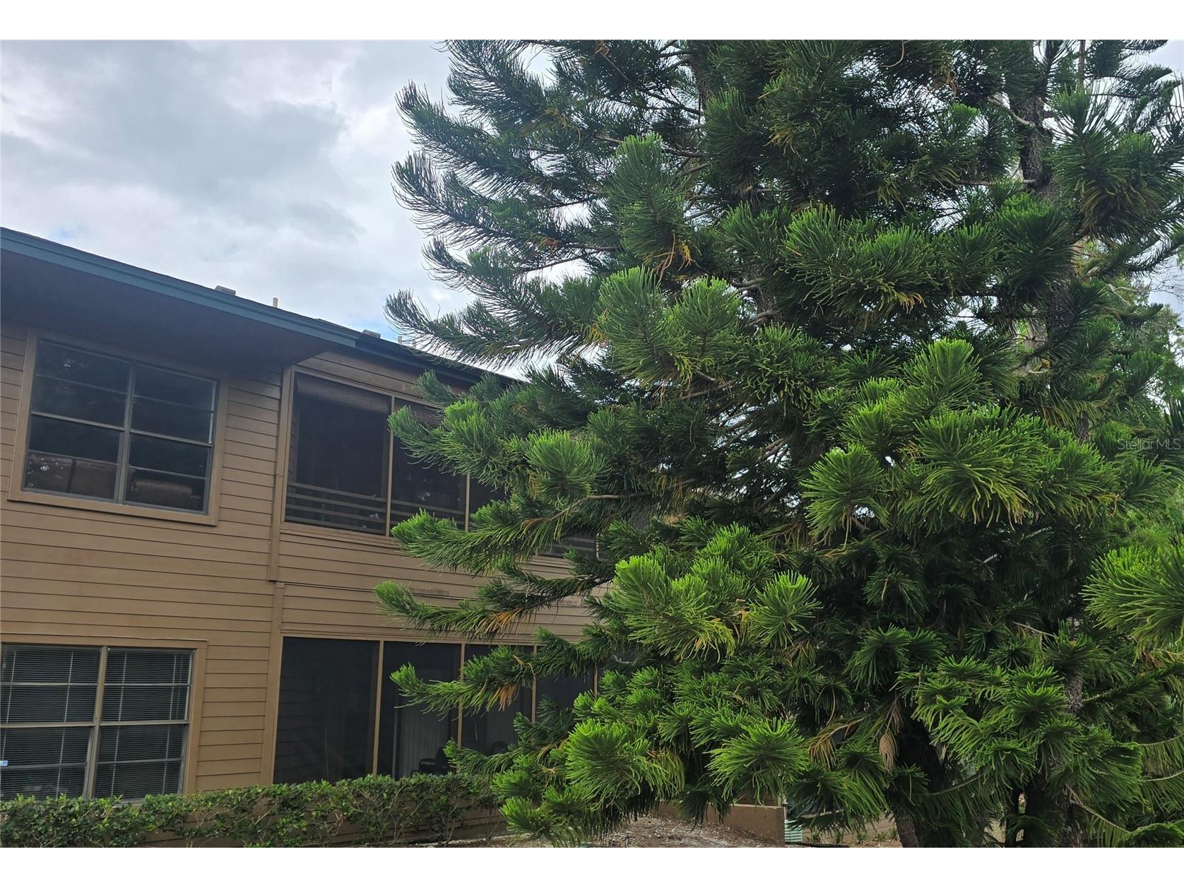 406 Lennox Road W Palm Harbor FL 34683 TB8501228 image1