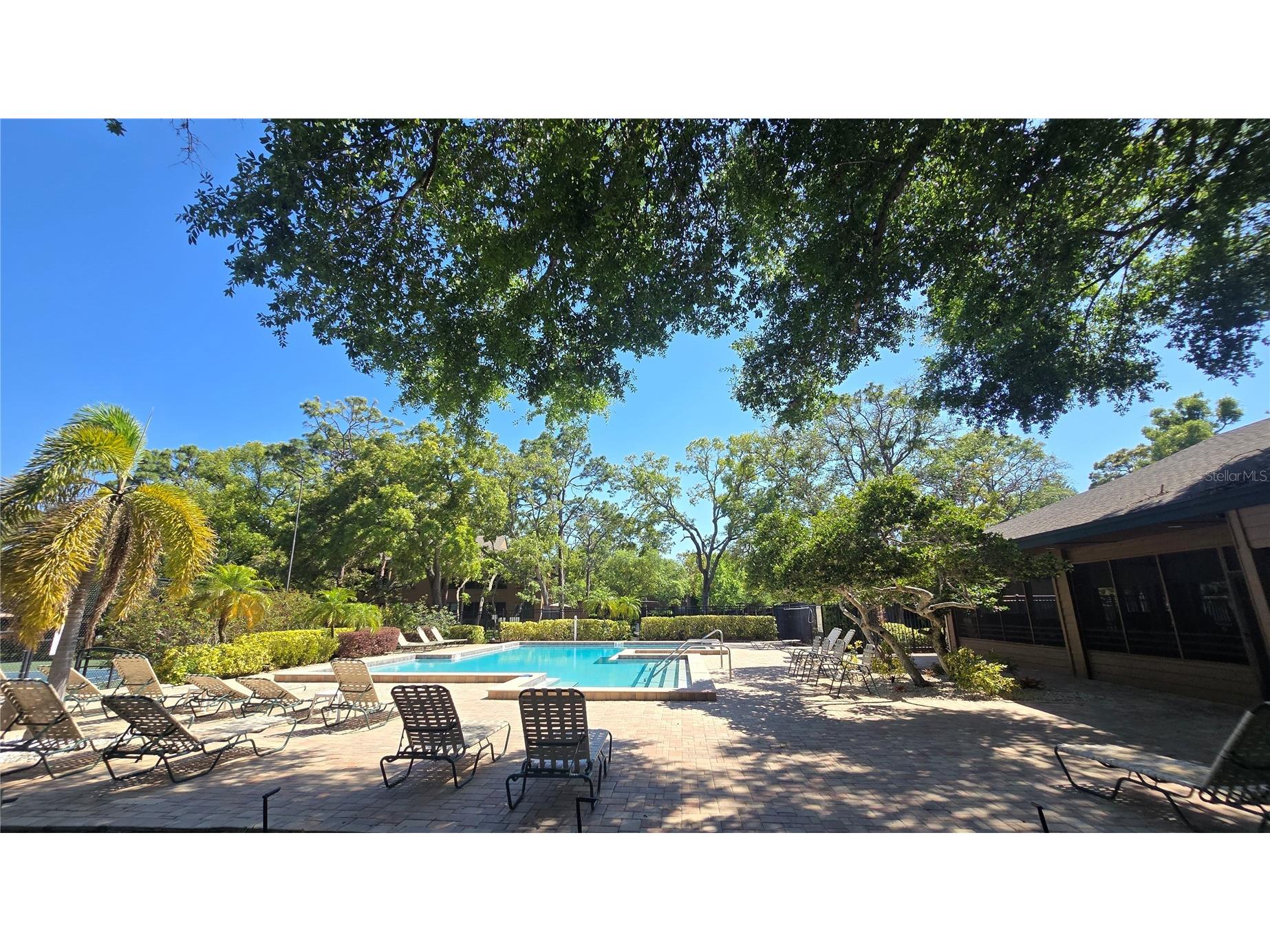 406 Lennox Road W Palm Harbor FL 34683 TB8501228 image39