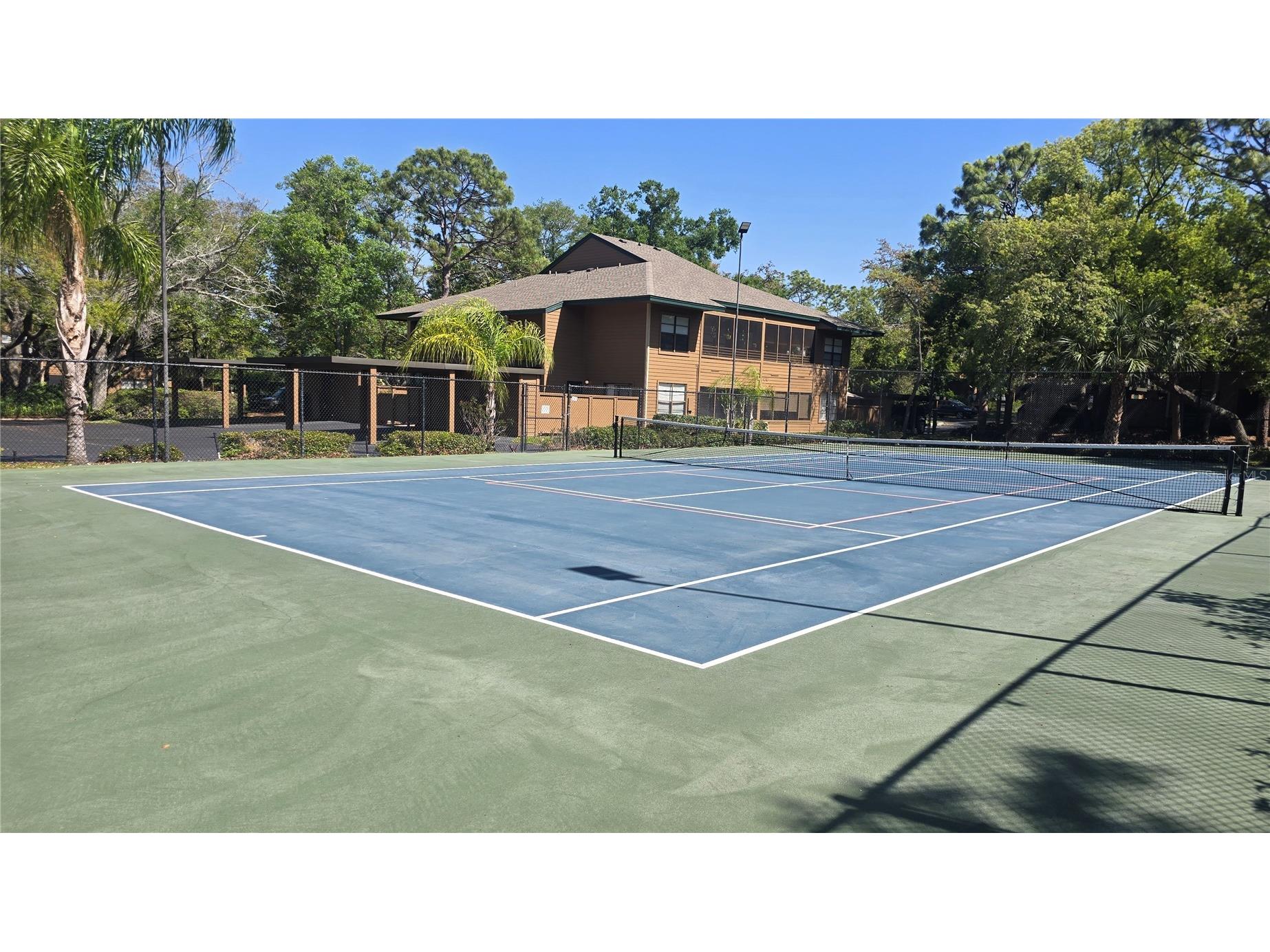 406 Lennox Road W Palm Harbor FL 34683 TB8501228 image40