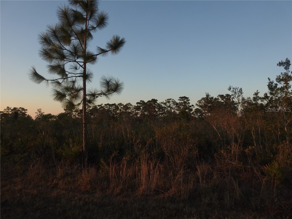 406 Magnolia Drive Indian Lake Estates FL 33855 A4635211 image1