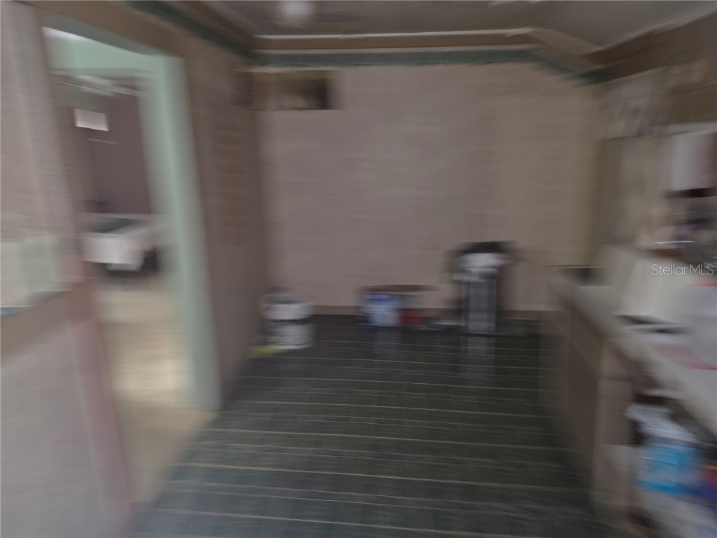 406 NW 7th Street Mulberry FL 33860 L4957553 image15