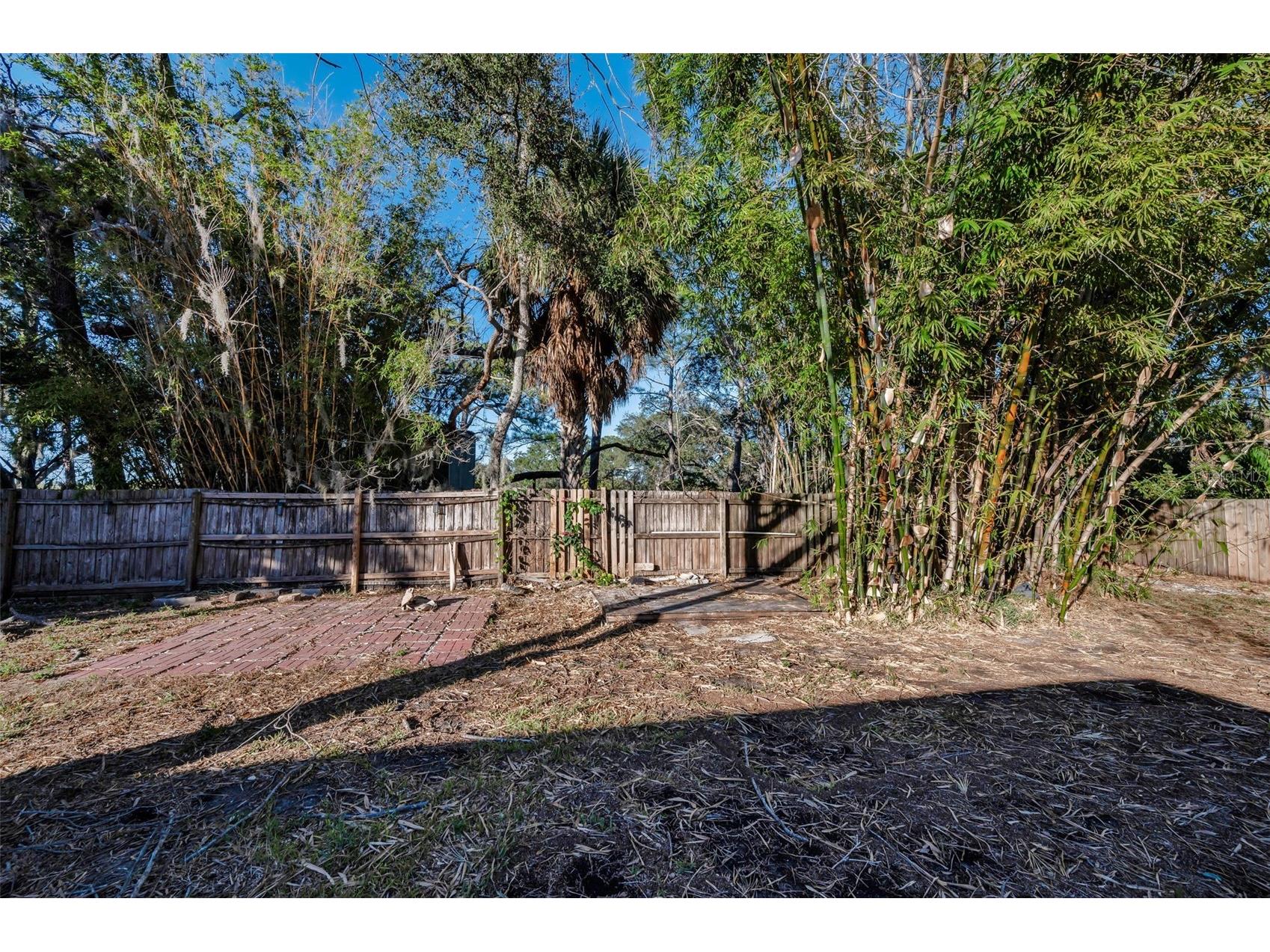 406 Orchid Lane Palm Harbor FL 34683 TB8466778 image26