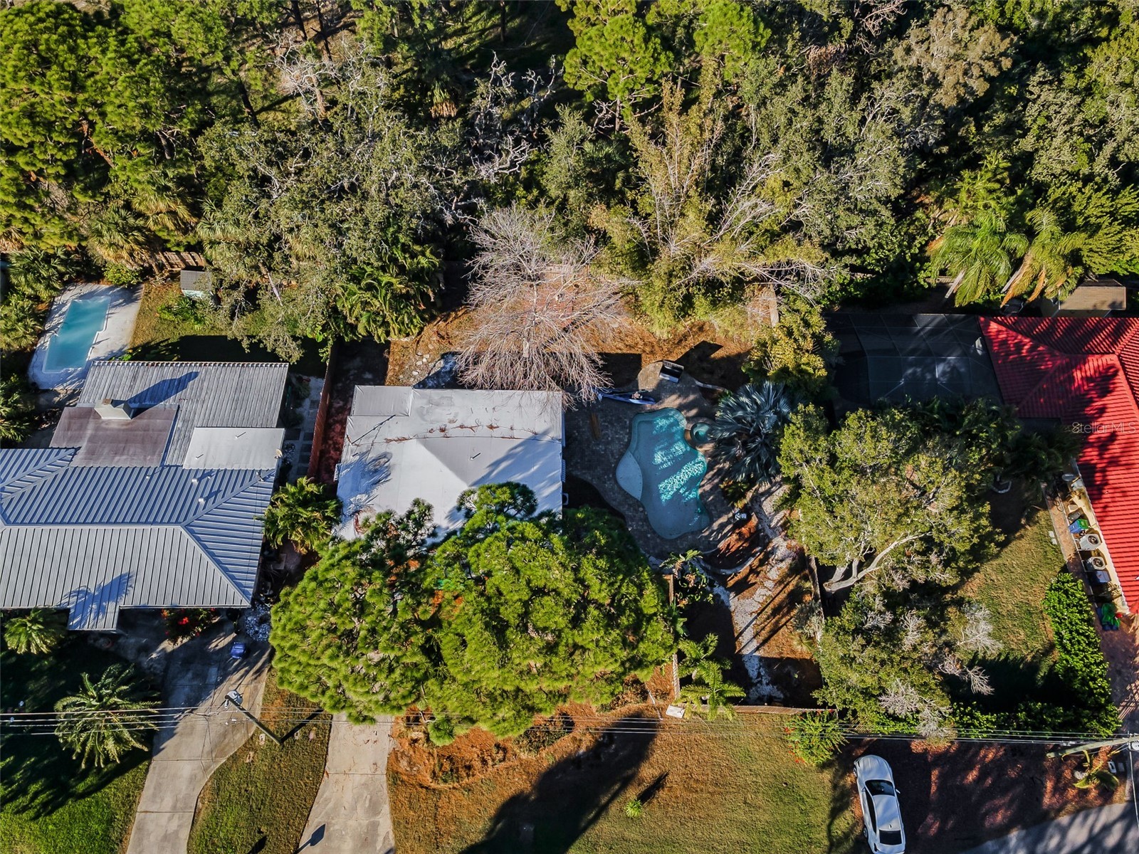406 Orchid Lane Palm Harbor FL 34683 TB8466778 image29