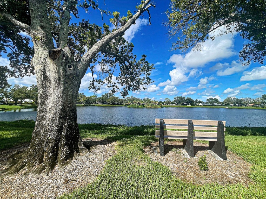 406 Pendleton Drive Venice FL 34292 N6140032 image32