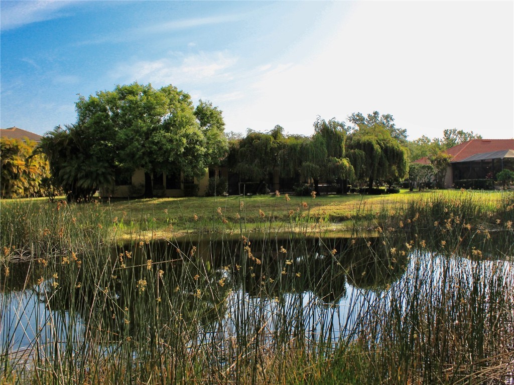 406 Petrel Trail Bradenton FL 34212 A4666070 image14