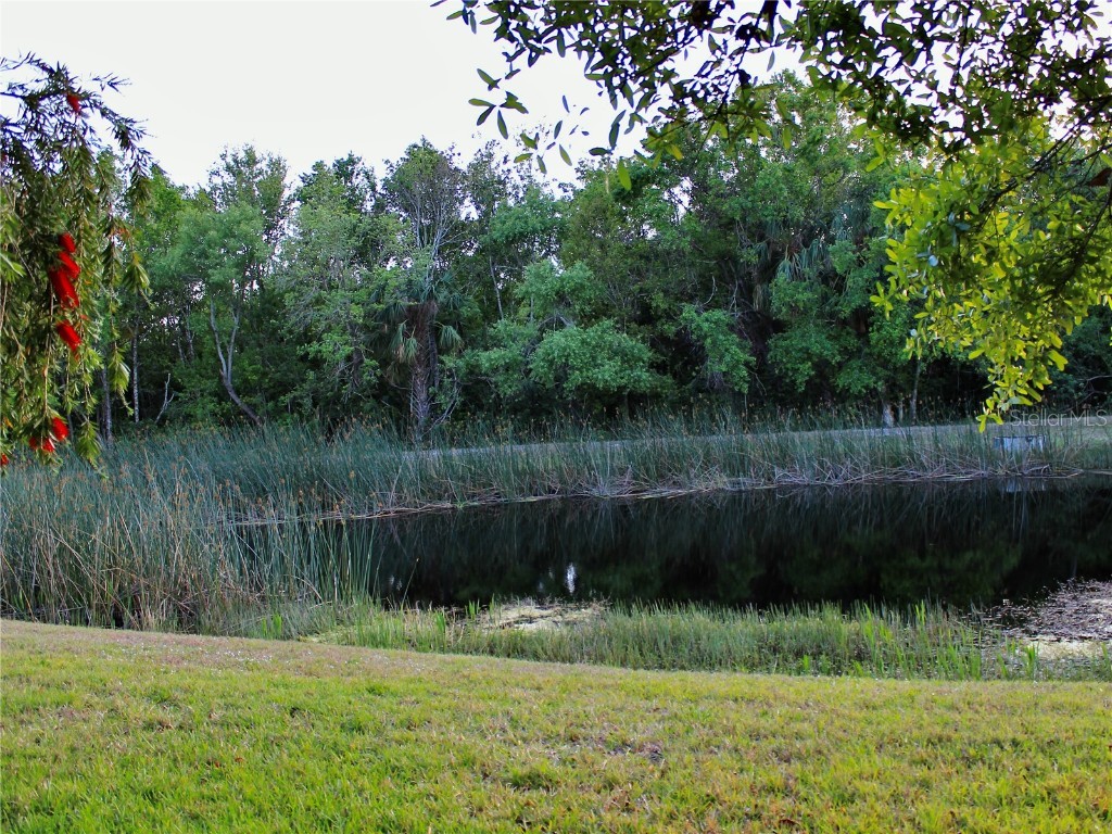 406 Petrel Trail Bradenton FL 34212 A4666070 image15