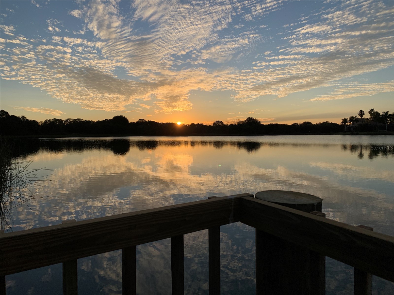 406 Petrel Trail Bradenton FL 34212 A4685414 image79