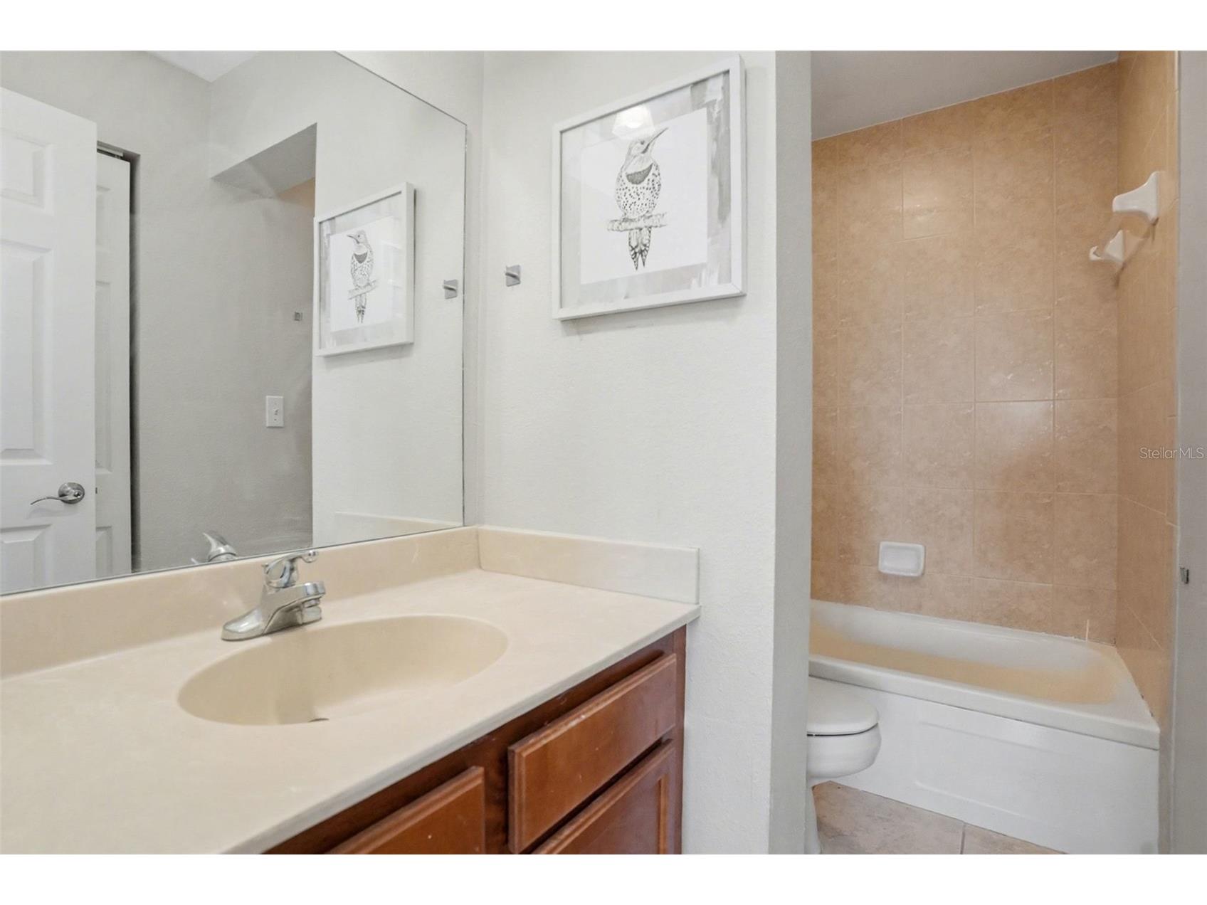 406 S Cedar Avenue #505 Tampa FL 33606 TB8485255 image22