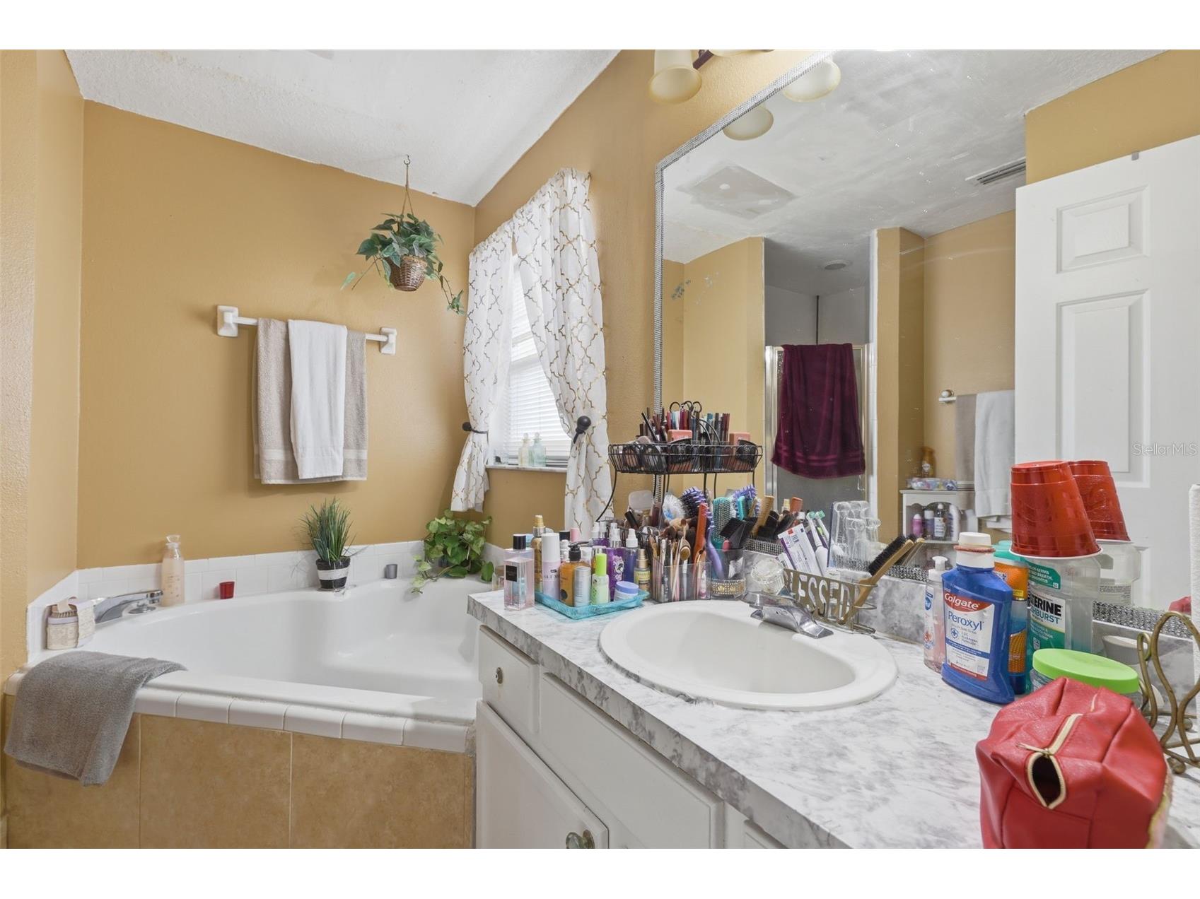 406 S Latonia Street Kissimmee FL 34741 O6387083 image20
