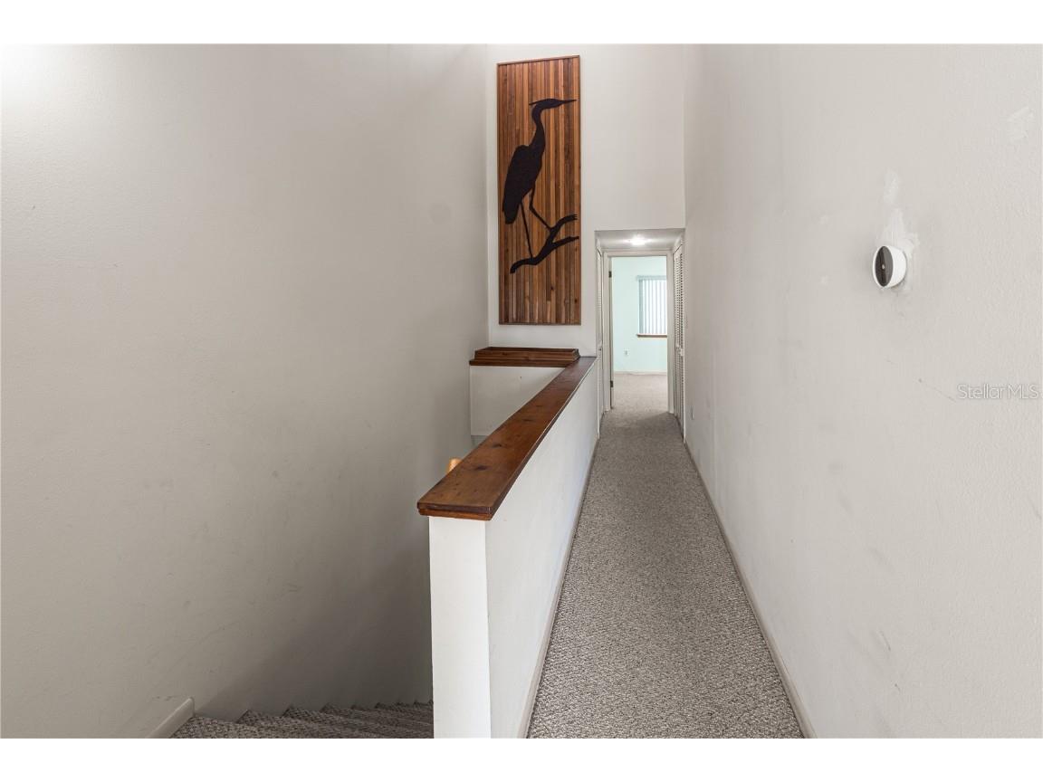 406 Sandy Hook Road Treasure Island FL 33706 TB8425545 image24