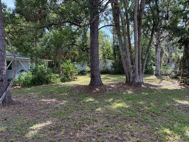 406 Zoller Street Brooksville FL 34601 TB8519334 image6