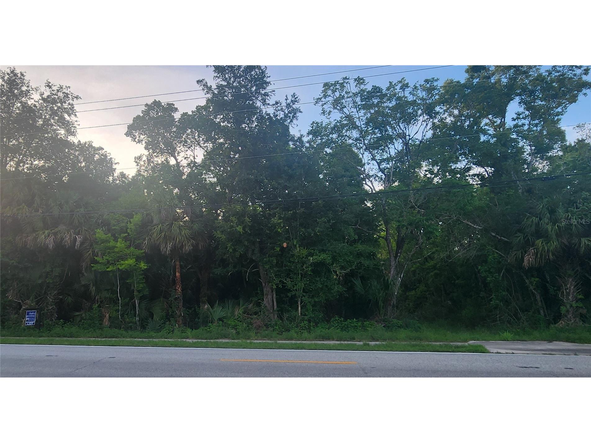 4060 Aurantia Road Mims FL 32754 O6411058 image4
