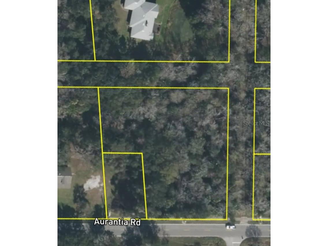 4060 Aurantia Road Mims FL 32754 O6411058 image5