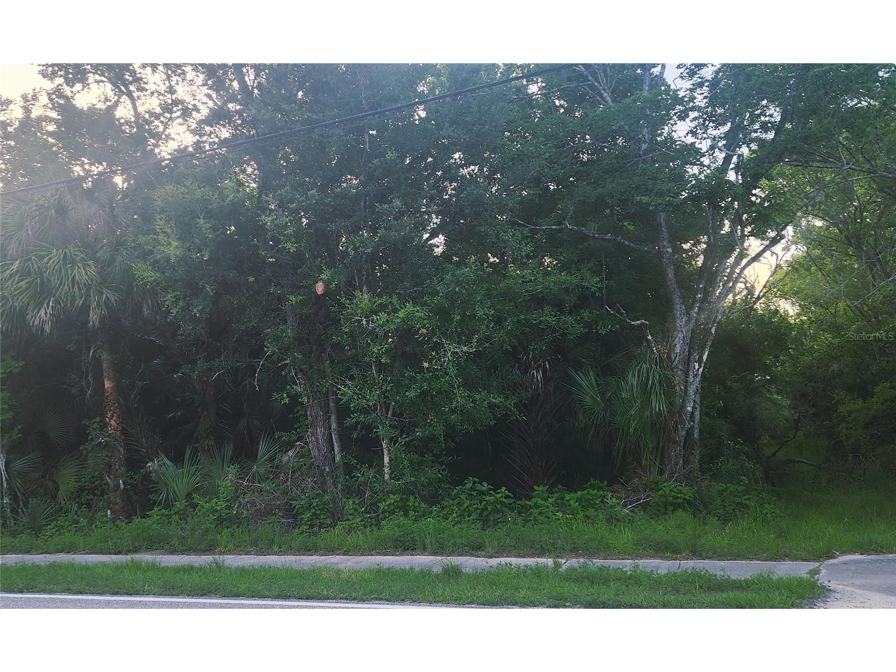 4060 Aurantia Road Mims FL 32754 O6411058 image6