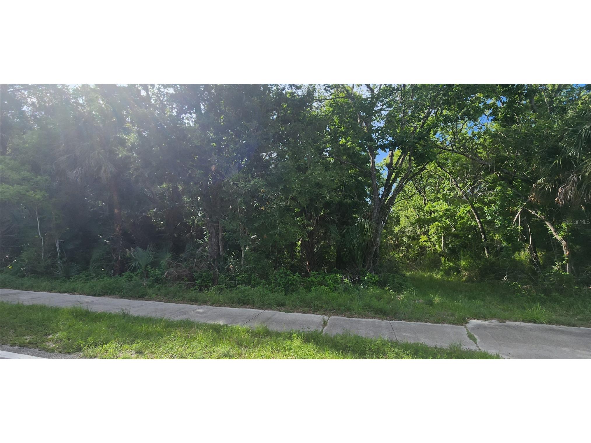 4060 Aurantia Road Mims FL 32754 O6411058 image7