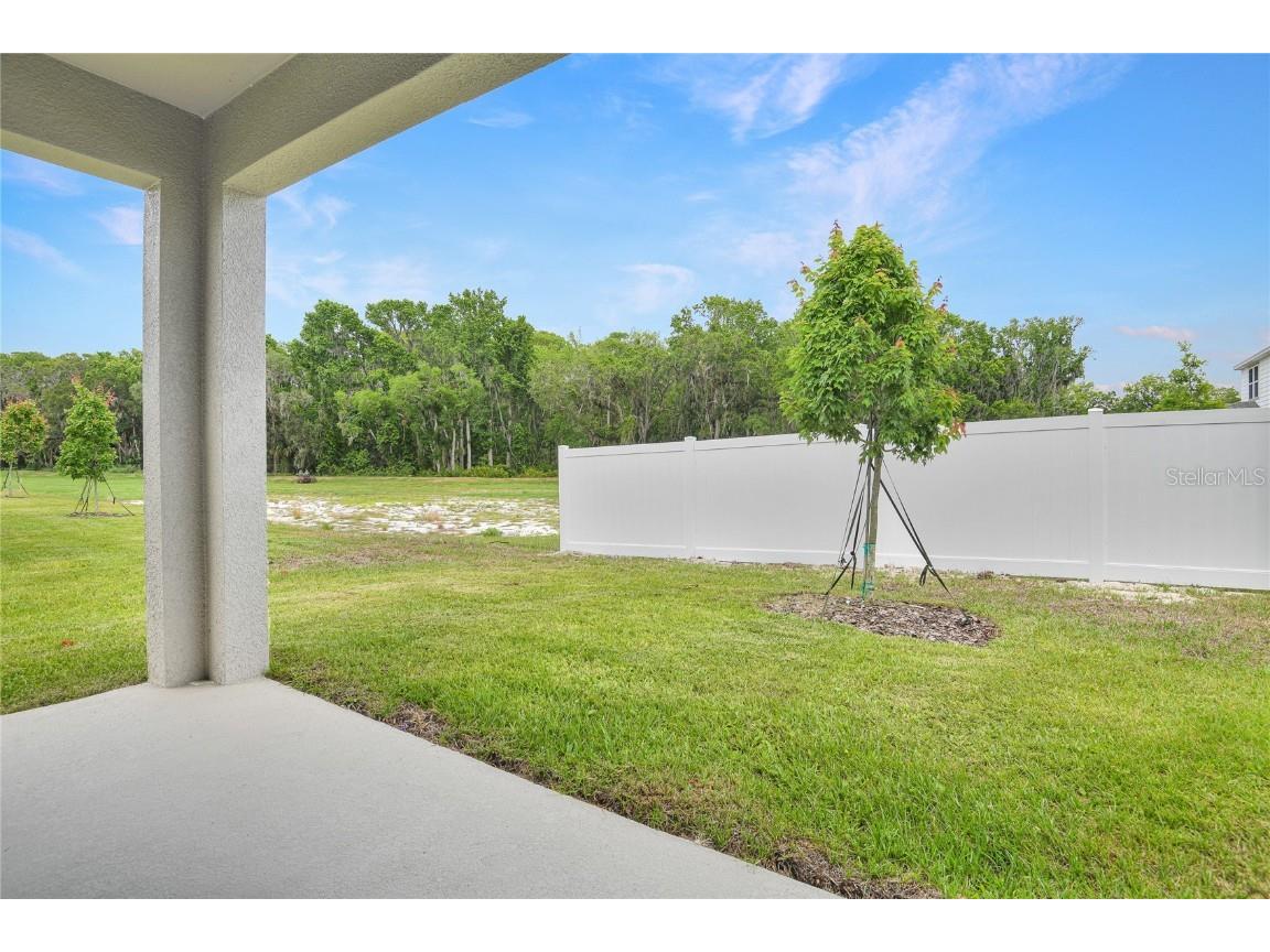 4060 Bannock Avenue Tavares FL 32778 S5115265 image18