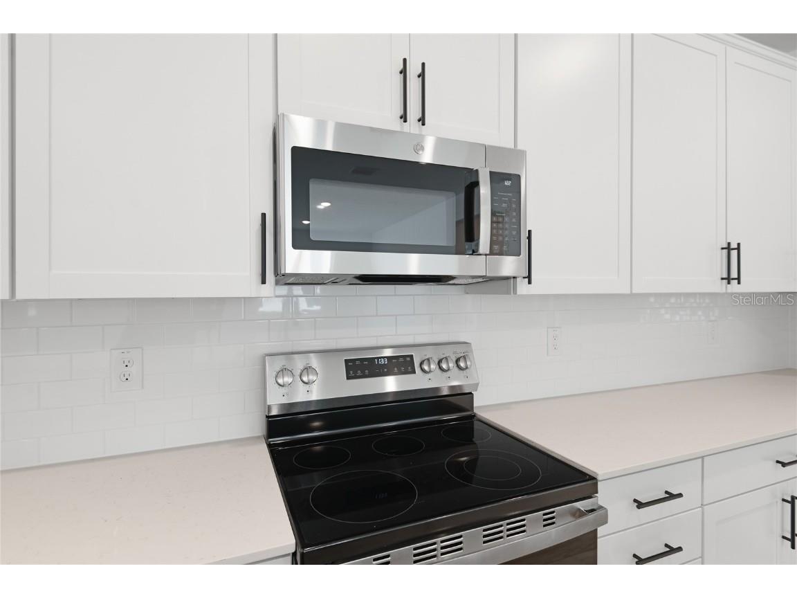 4060 Bannock Avenue Tavares FL 32778 S5115265 image6