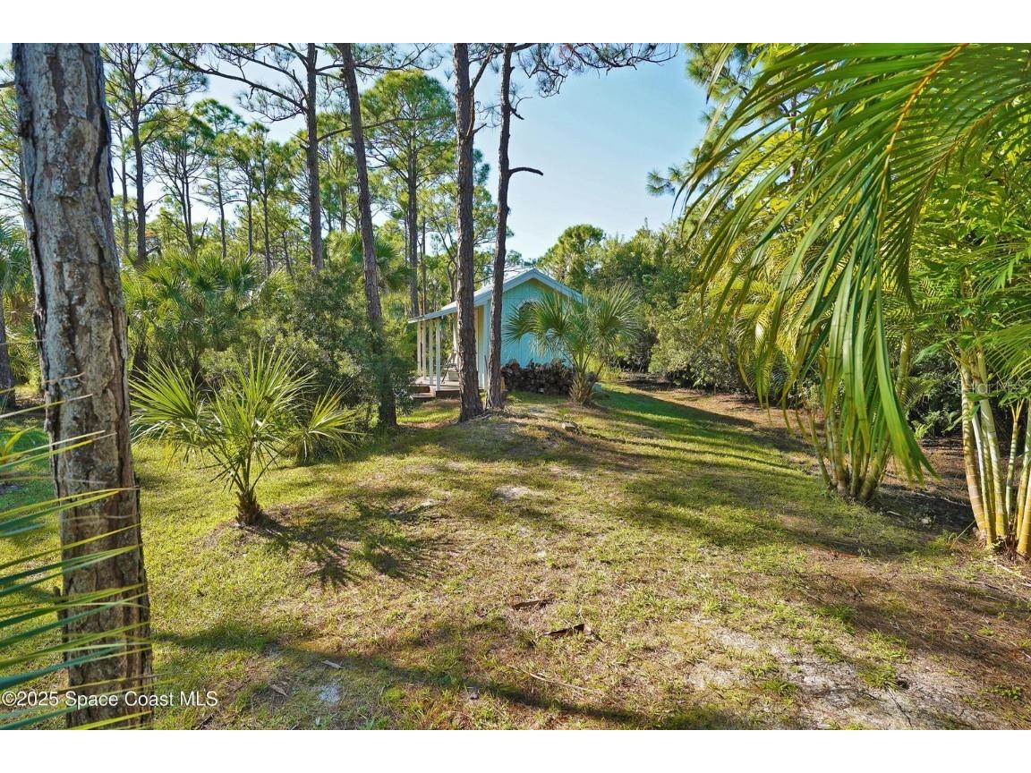 4060 Edisto Drive Grant FL 32949 V4946289 image12
